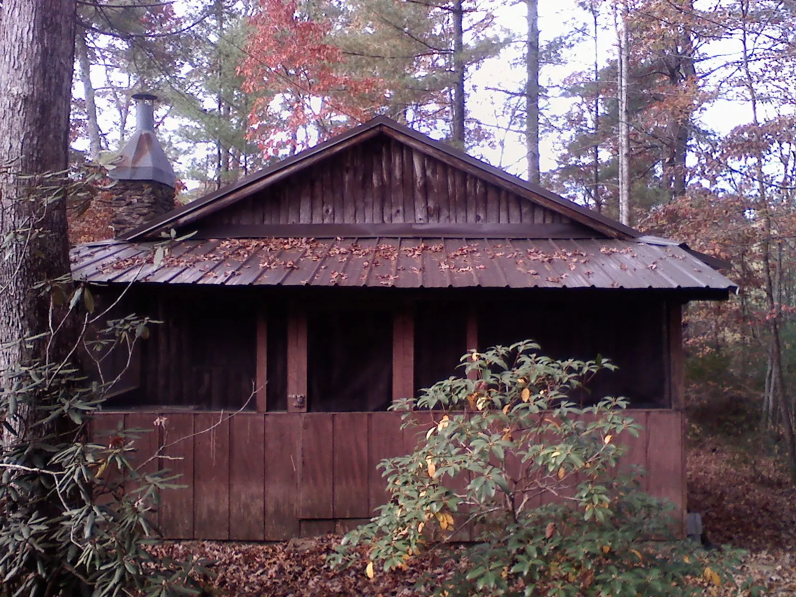 Metal roof over the screened porch of a rustic cabin in Coal City
